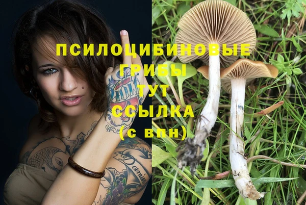 метадон Покров