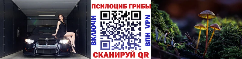 Псилоцибиновые грибы Psilocybe  Кореновск 