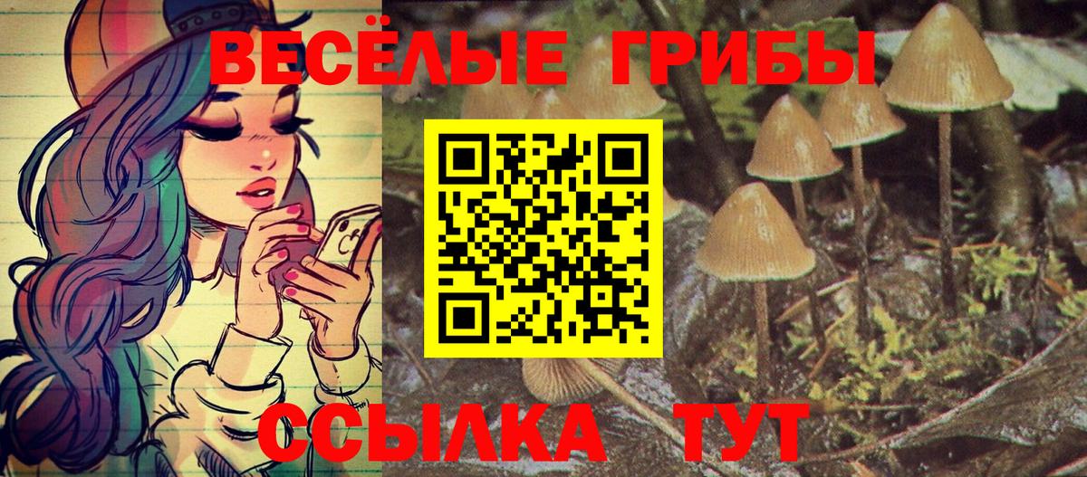 Псилоцибиновые грибы мухоморы Кореновск