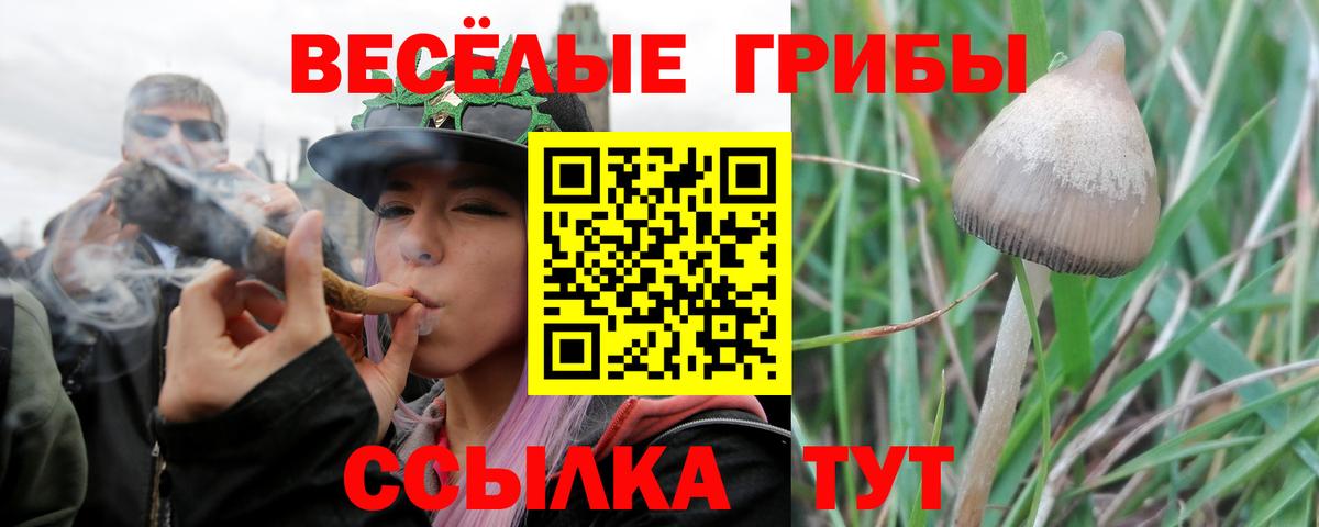 Галлюциногенные грибы Psilocybine cubensis  Вход с VPN  Кореновск 